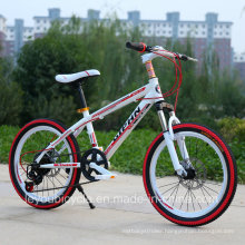 Hot Sale High Quality Mountain Bike/Bicycle MTB